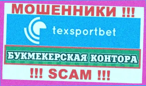 Тип деятельности internet мошенников TexSportBet Com - это Букмекер, но имейте ввиду это надувательство !!!