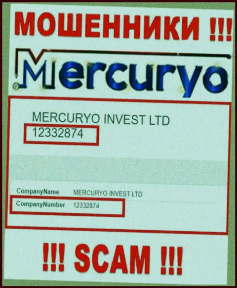 Номер регистрации незаконно действующей компании Mercuryo: 12332874