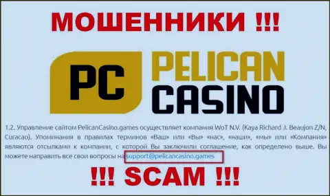 Ни в коем случае не стоит писать сообщение на е-майл мошенников PelicanCasino Games - лишат денег моментально