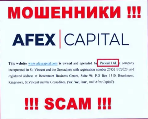 Prevail Ltd управляющее организацией AfexCapital