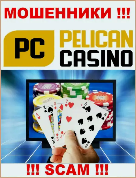 PelicanCasino Games оставляют без денег малоопытных людей, действуя в направлении - Интернет-казино