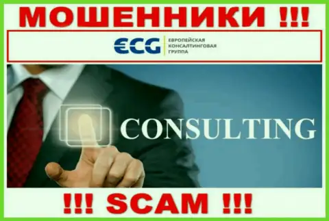 Консалтинг - это вид деятельности противоправно действующей компании ECG