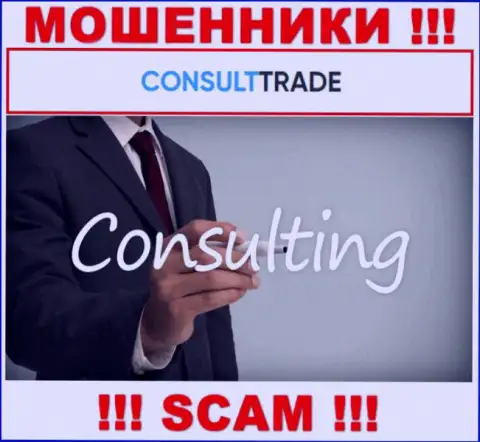 Область деятельности СТК Трейд: Consulting - хороший доход для internet аферистов