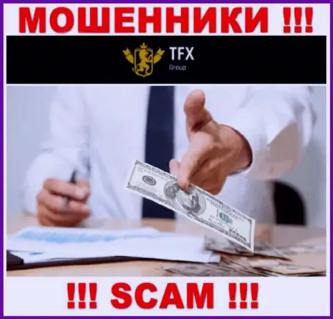 В TFX Group вешают лапшу на уши лохам и заманивают в свой жульнический проект