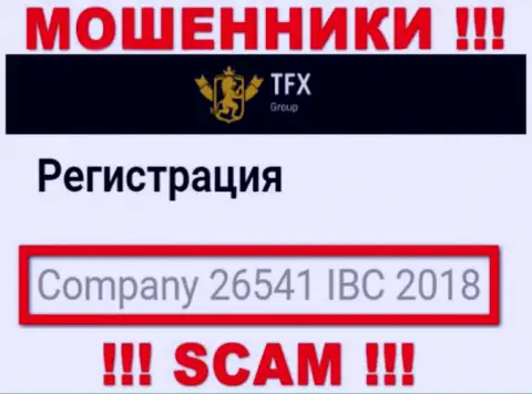 Номер регистрации, который принадлежит противоправно действующей компании TFX Group: 26541 IBC 2018