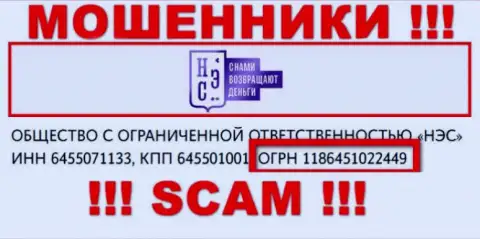 Регистрационный номер конторы НЭС - 1186451022449