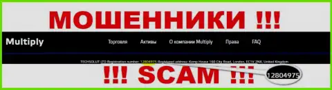 Номер регистрации конторы Multiply Company, который они оставили на своем веб-портале: 12804975