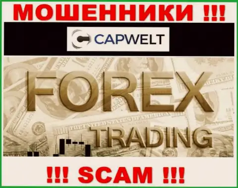 Форекс - это вид деятельности неправомерно действующей организации Cap Welt