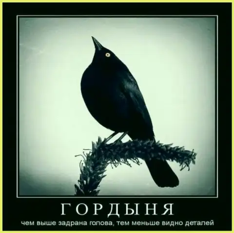 Сами напросились, а нужно было просто-напросто опустить свою голову и признать свою ошибочность поступков