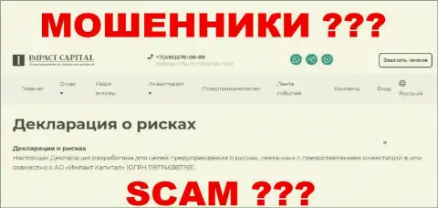 Декларация о рисках от организации ImpactCapital с сайта конторы