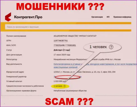 Средняя численность работников Импакт Капитал