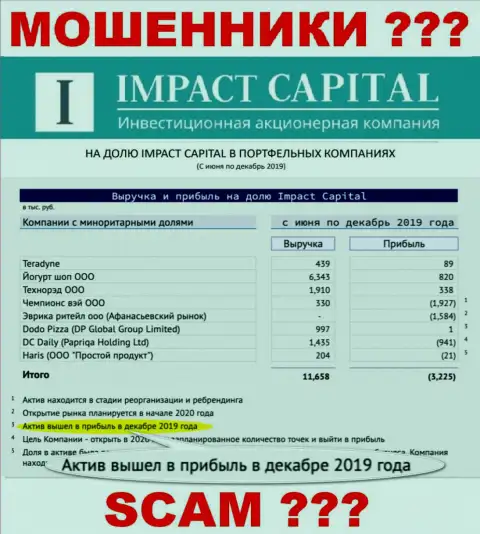 На официальном сайте ИмпактКапитал Ком рисуют реальную прибыль компании ?