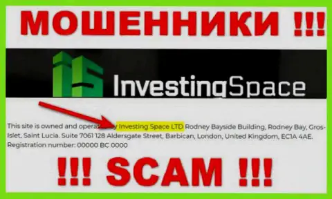 Данные о юридическом лице Инвестинг Спейс, ими оказалась компания Investing Space LTD