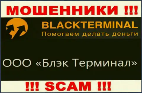 На официальном информационном сервисе BlackTerminal написано, что юридическое лицо организации - ООО Блэк Терминал