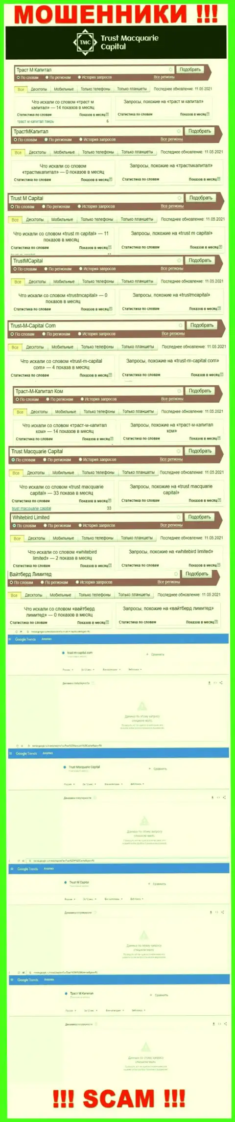 Статистика поисков данных о интернет аферистах Trust-M-Capital Com