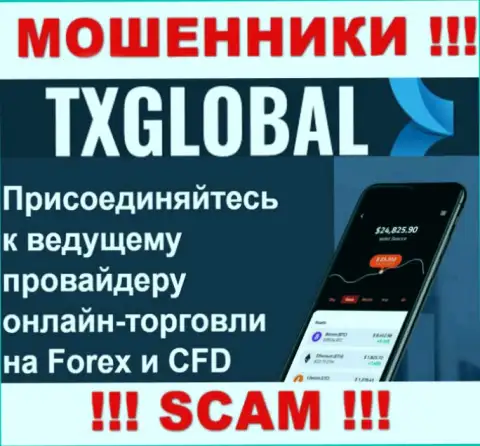 Во всемирной сети прокручивают свои грязные делишки мошенники TX Global, сфера деятельности которых - ФОРЕКС