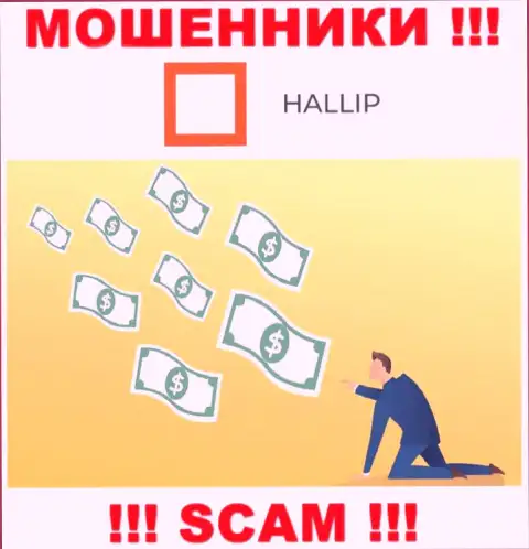 Воры Hallip Com сделают все возможное, чтоб заманить к себе в лохотрон как можно больше жертв