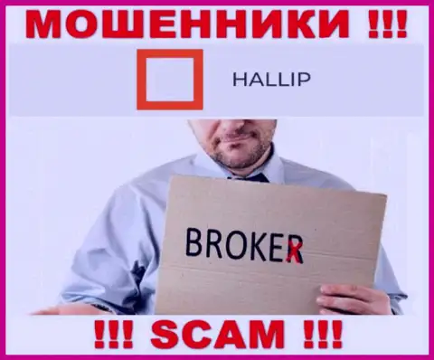 Направление деятельности разводил Hallip - это Broker, но помните это обман !!!