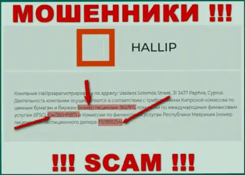 Не взаимодействуйте с мошенниками Hallip - существованием лицензионного документа, на сайте, завлекают людей