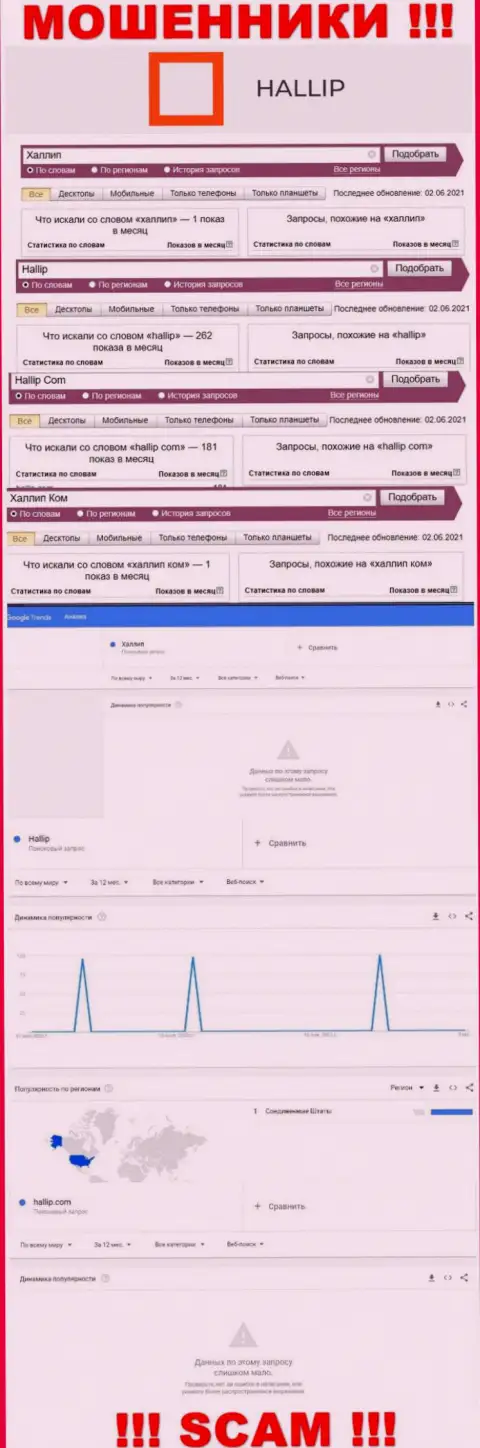 Статистические показатели о запросах по бренду махинаторов Hallip Com