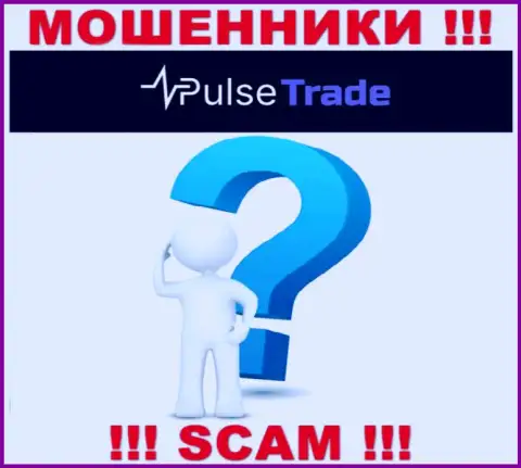 Люди руководящие организацией Pulse Trade предпочли о себе не рассказывать