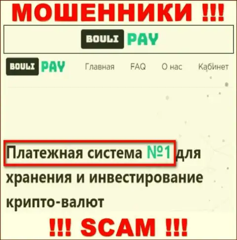 Основная деятельность Bouli Pay - это Платежная система, будьте осторожны, промышляют преступно