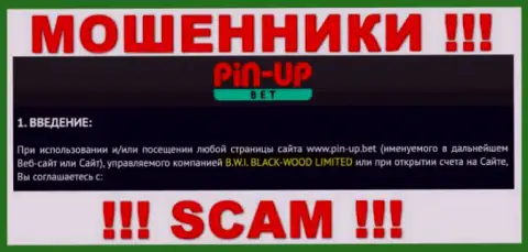 Юридическое лицо организации PinUpBet - это Б.В.И. БЛЕК-ВУД ЛТД, инфа позаимствована с официального интернет-площадки