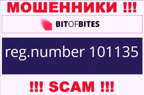 Рег. номер конторы Bit Of Bites, который они разместили на своем сайте: 101135