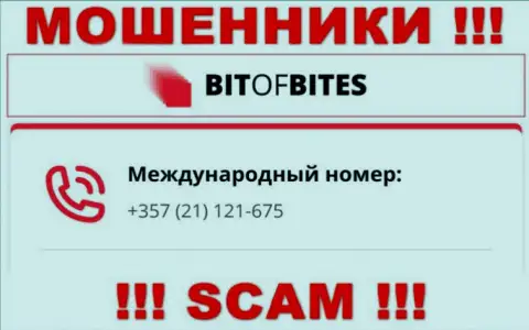 С какого именно номера телефона будут звонить обманщики из организации Bit Of Bites неведомо, у них их множество