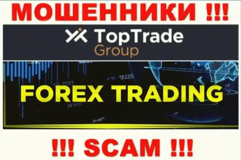 ТопТрейдГрупп - это интернет-воры, их деятельность - FOREX, направлена на воровство финансовых активов наивных клиентов