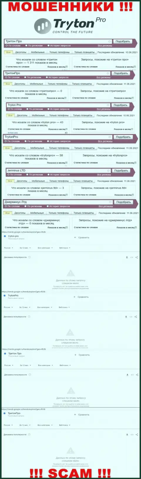 Статистические сведения бренда Тритон Про, какое именно число online запросов у указанной конторы