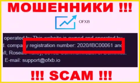 Регистрационный номер, который принадлежит компании OFXB - 2020/IBC00061