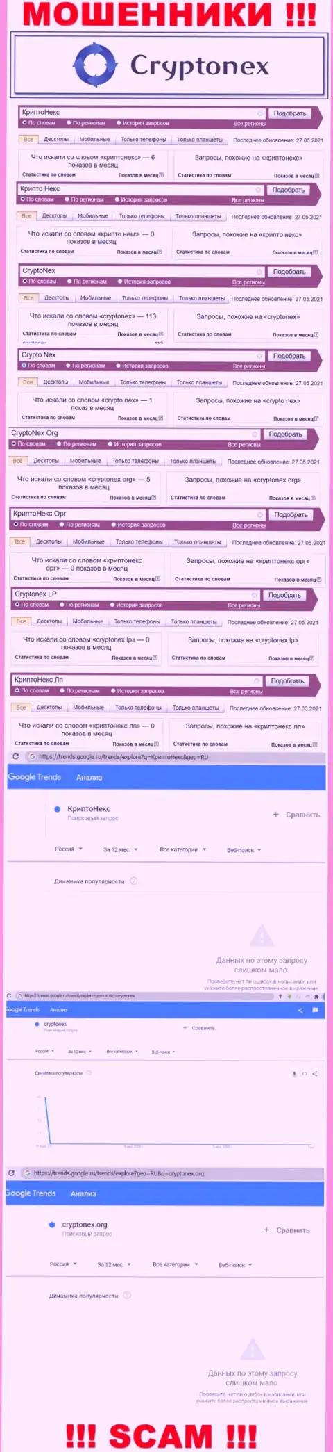 Анализ online запросов по бренду CryptoNex