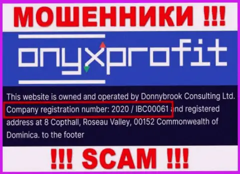 Рег. номер, который принадлежит организации OnyxProfit - 2020 / IBC00061