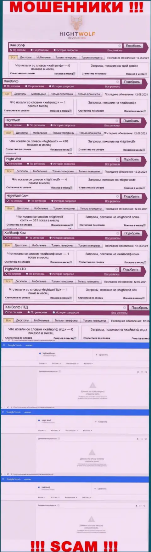 Статистика по брендовым онлайн-запросам по мошенникам Хай Волф в глобальной интернет сети