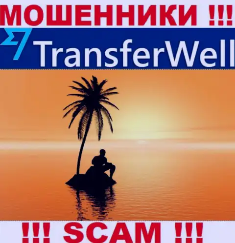 Юрисдикция TransferWell скрыта, именно поэтому перед вложением средств следует подумать сто раз