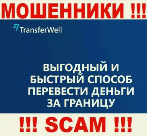 Не верьте, что деятельность Проджект Лтд в области Платежная система легальная