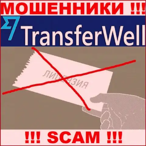 Вы не сумеете откопать инфу о лицензии internet мошенников Transfer Well, потому что они ее не имеют