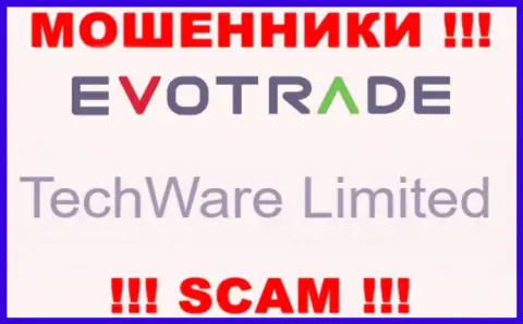 Юридическим лицом ЕвоТрейд Ком является - TechWare Limited