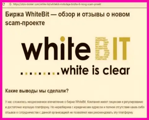 White Bit - это организация, работа с которой приносит только потери (обзор деяний)