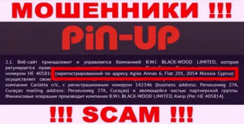 Из Pin-Up Casino вернуть назад депозиты не выйдет - данные интернет-кидалы спрятались в офшорной зоне: Agias Annas 6, Flat 201, 2054, Nicosia Cyprus