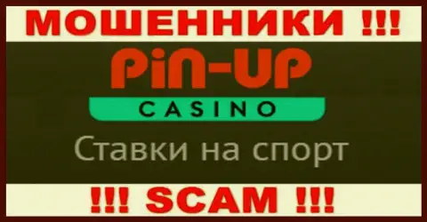 Основная работа PinUp Casino - это Casino, будьте осторожны, работают противозаконно