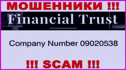 Регистрационный номер мошенников интернета организации Financial Trust - 09020538