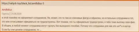 Объективный отзыв клиента Amillidius на интернет-ресурсе Нахджоб Топ