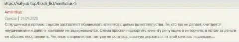 Очередной реальный клиент Амиллидиус не рекомендует иметь дело с указанной конторой, отзыв с web-портала Nahjob Top