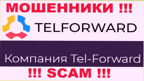 Юридическое лицо TelForward - это Tel-Forward, такую информацию разместили мошенники на своем сайте