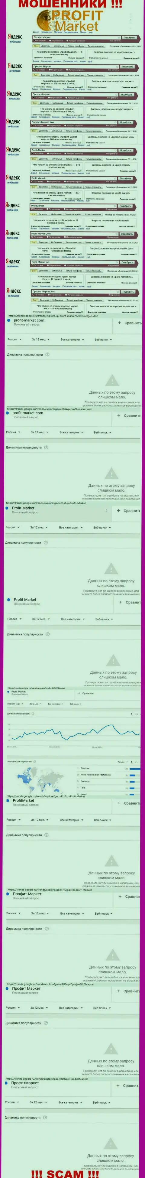 Статистические данные по бренду Profit Market, сколько конкретно людей заинтересовались этими мошенниками