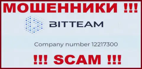 Номер регистрации организации Bit Team - 12217300