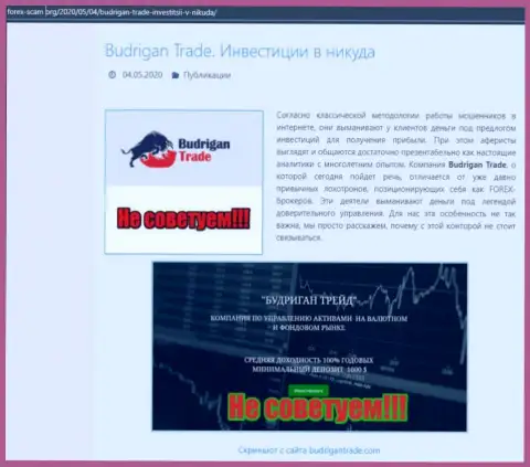 Обзорная статья, которая позаимствована на стороннем сайте с выводом на чистую воду BudriganTrade, как мошенника