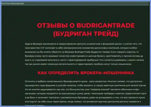 BudriganTrade - это контора, совместное взаимодействие с которой приносит только потери (обзор махинаций)